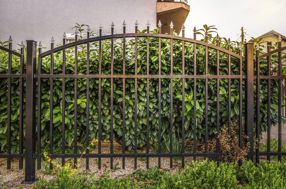 Wrought Iron Fencing service in Daly City, CA